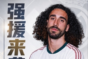 免费世界杯突尼斯对决荷兰直播_免费世界杯突尼斯对决荷兰直播在线观看_免费看直播