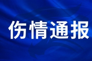 实时伊拉克vs挪威比赛回放_实时伊拉克vs挪威比赛回放在线观看_免费看直播