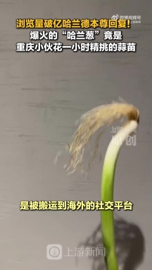 实时埃及VS比利时低调看直播_实时埃及VS比利时低调看直播在线观看_免费看直播