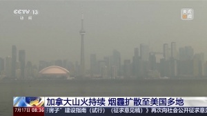加拿大仍有超800处山火！世界杯决赛超8万人观战，或受烟霾影响-iv