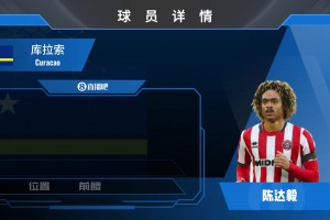 实时澳大利亚VS美国进球集锦