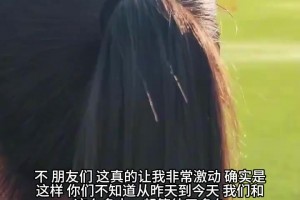 火爆西班牙对阵乌拉圭直播