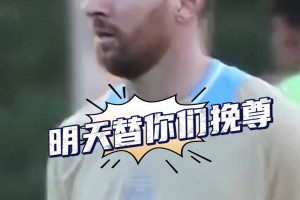 火爆比利时对伊朗进球集锦