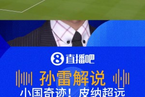 重磅阿根廷对阵约旦在线观看