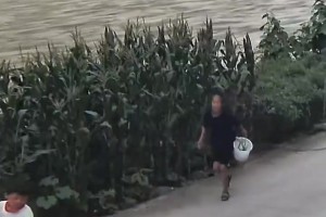 火爆阿根廷对阵阿尔及利亚比分预测