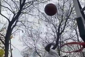 极速世界杯小组赛比利时vs伊朗在线观看