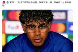 卡塔尔对世界杯小组赛波黑赛事前瞻