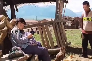 英格兰对决加纳比分预测