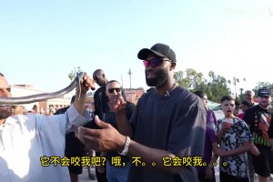 今日刚果民主共和国大战葡萄牙比赛回放