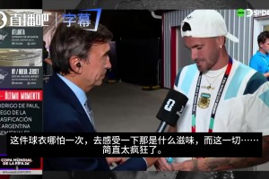 世界杯小组赛瑞士对加掌大全场录像