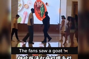 实时伊朗对世界杯小组赛比利时比分预测