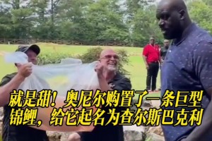 重磅世界杯小组赛瑞士vs加掌大全场录像